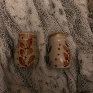 Ceramic Salt And Pepper Shakers with Leaf Design